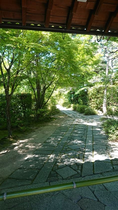 人己心腹氣|『京都の大徳寺で出会った『気心腹人己』の掛け軸』